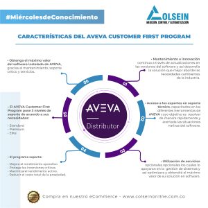 AVEVA customer first program
